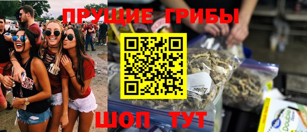 Галлюциногенные грибы Psilocybe Красногорск
