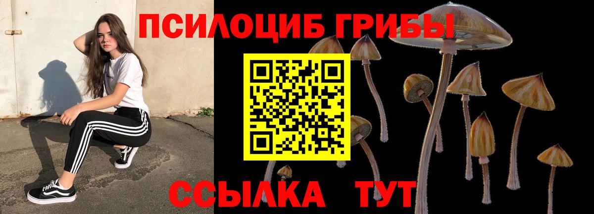 Галлюциногенные грибы Psilocybe  Псилоцибиновые грибы ЛСД  Вход с VPN  Красногорск 